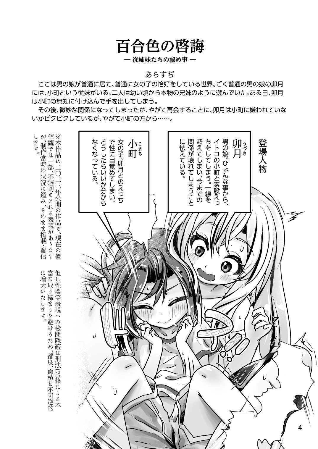 イトコのヒメゴト 2 ――エッチしたい男の娘と エッチを知らない女の子の 初めてのエッチ――2