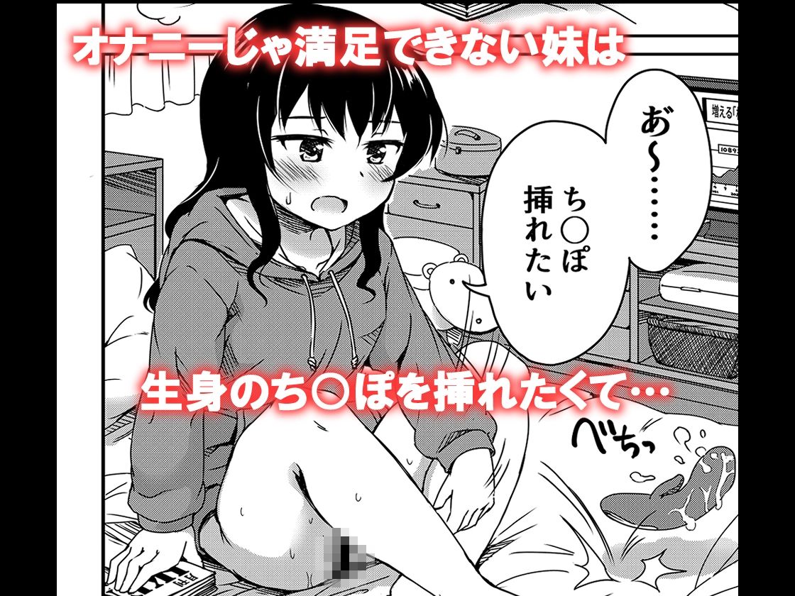 兄ばいぶと妹おなほ1