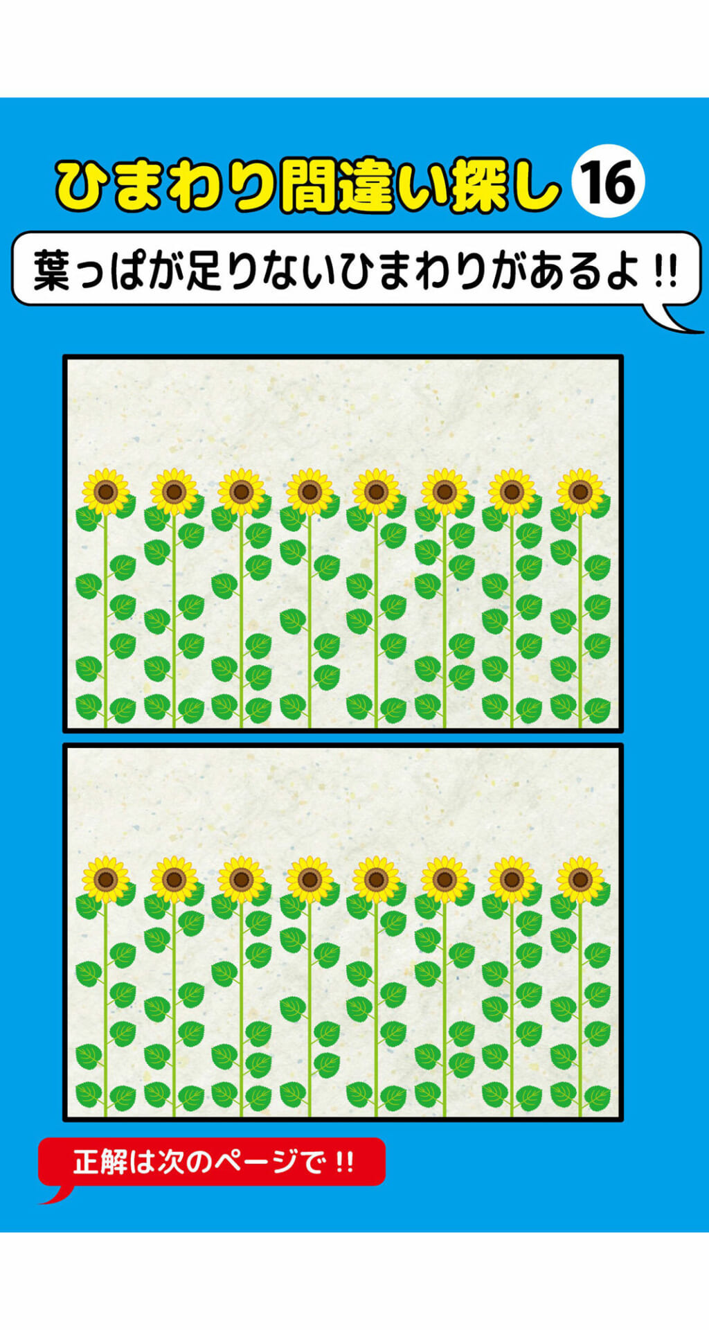 葉っぱが一枚足りないひまわり間違い探し（2）2