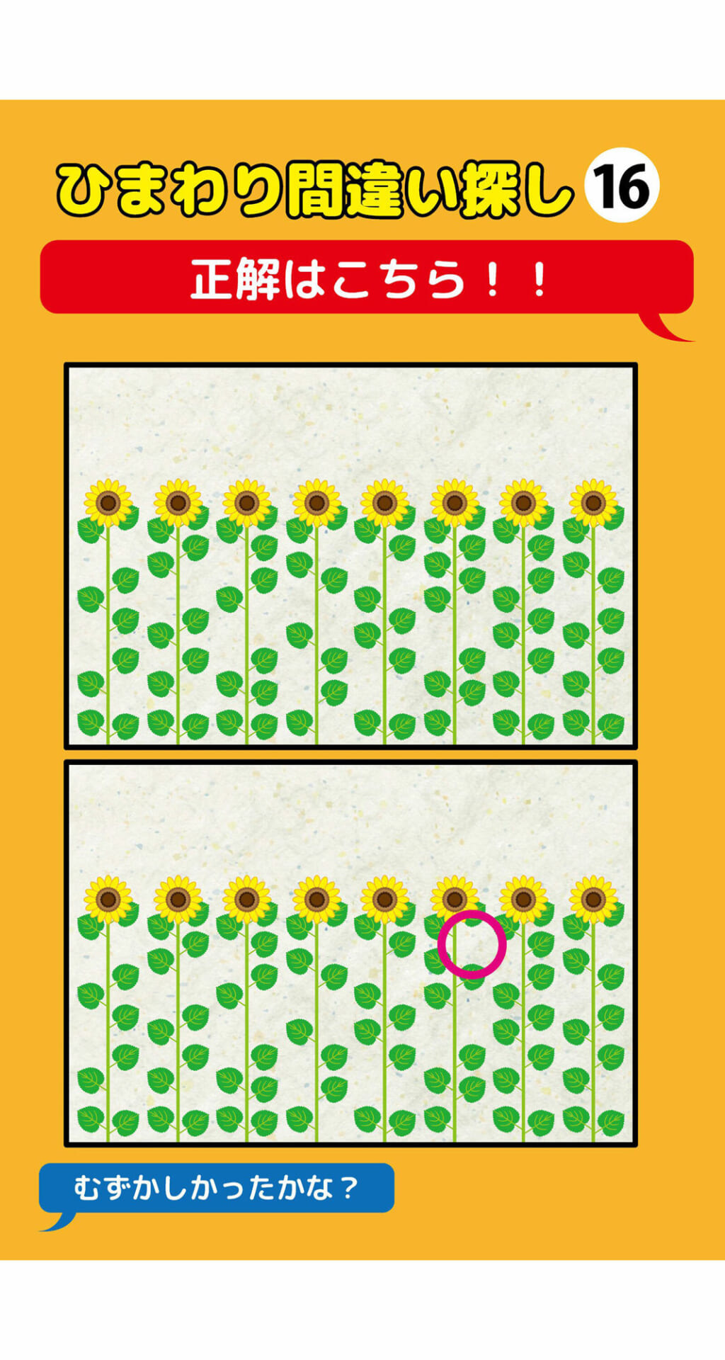 葉っぱが一枚足りないひまわり間違い探し（2）3