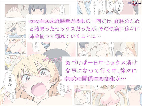 お姉ちゃんお願い！1回でいいからセックスさせて！2