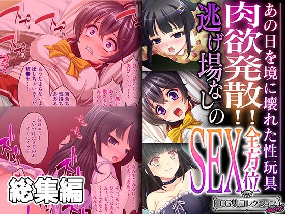 肉欲発散！！逃げ場なしの全方位SEX 〜あの日を境に壊れた性玩具〜【CG集コレクション ミニ】